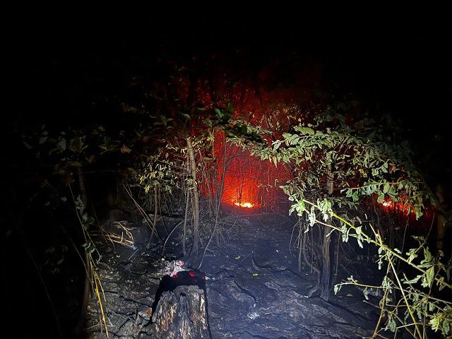 В Закарпатье в Дубриницком лесничестве бушевал пожар 