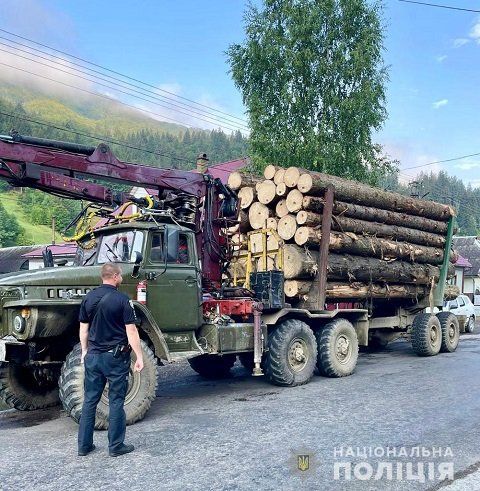 В Закарпатье с утра пораньше конфисковали грузовик нелегальной древесины 