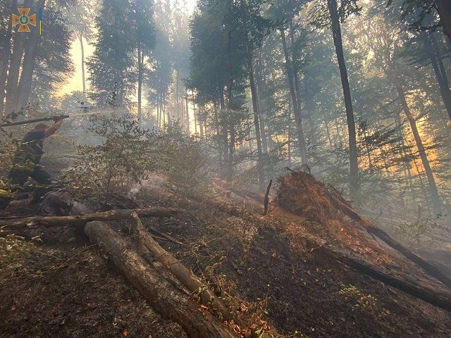 Масштабный лесной пожар в Закарпатье: Что известно