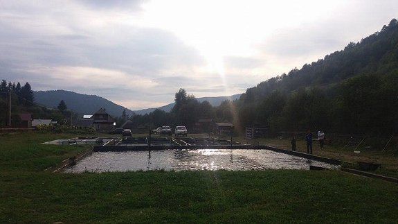 Туристы в Закарпатье ежедневно вылавливают 40 килограммов форели