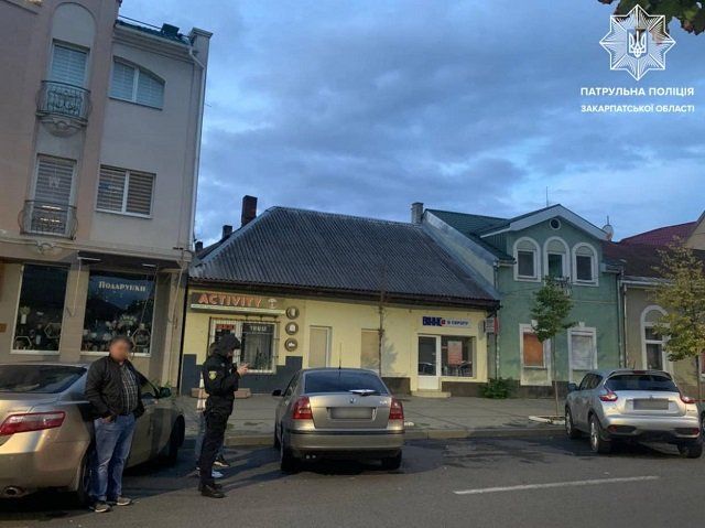 В Ужгороде "прочесали" припаркованную Skoda, видевших наглую морду просят сообщить 