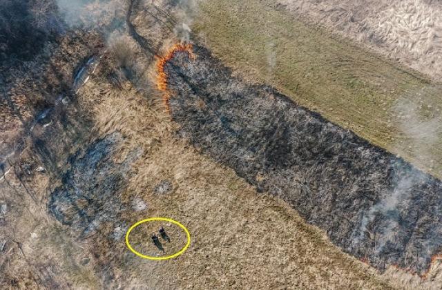 В Закарпатье займутся обнаружением паскудников - поджигателей сухой травы