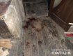 Кровавое убийство в Закарпатье: Жертве наносили удары топором раз за разом 