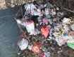 Закарпаття. Гірські потічки забиті сміттям на Хустщині