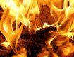 На Закарпатті спалахнув приватний будинок — жертвою вогню стала маленька дитина