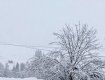 У горах Закарпаття навалило півметра снігу