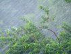 В Закарпатье возвращаются дожди - возможны подтопления городов и сел