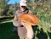 В Карпатах нашли огромный гриб: Такие редкие экземпляры попадаются не всем!