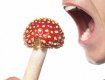 В Закарпатье игры с галлюциногенные грибы едва ли не убили девушку