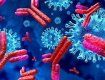 Антитела исчезают?: Как скоро можно заразиться коронавирусом повторно?