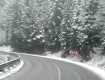 В Закарпатье пришел первый снег: присыпало на перевалах