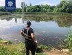 В Ужгороде полиция отреагировала на пост в соцсети про издевательства на лебедями 