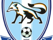 ФК "Минай" занял 5-е место в рейтинге логотипов футбольных клубов