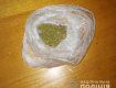 Полиция Великого Березного обнаружила у закарпатца марихуану