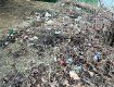 В Ужгороде горсовет обязали разобраться с кучами мусора возле реки 