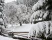 Справжня зима прийшла на територію знаменитого нацпарку Синевир в Закарпатті 