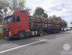 В Закарпатье перевозчик леса вляпался из-за недоделанных документов