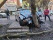 В Закарпатье женщина на "BMW" разбилась об дерево 