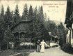 Закарпатье в XIX–XX веке: Редкие исторические фото лучших курортов, позволяющие взглянуть на прошлое