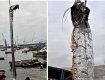 Шокирующее зрелище: В Чили рыбаки поймали 5-метрового сельдяного короля
