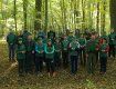 Закарпаття. Лісівники запустили challenge у лісах Берегівщини! 
