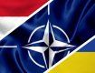 Венгрия саботирует планы НАТО по размещению войск у границ Украины