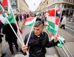 Евросоюз призывает защитить венгерскую общину в Закарпатье