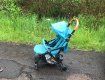В Иршаве пока женщина играла с малышом, коляски как не бывало