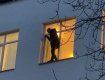 Нет препятствий патриотам! В Киеве радикал угрожает выброситься из окна отделения полиции