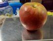 Невероятно! Урожай яблок-гигантов собрали в Закарпатье
