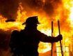 Куча спецавтомобилей спасала домашних животных из горящего здания в Закарпатье