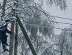 Налипання мокрого снігу знеструмило сім сільських населених пунктів на Закарпатті