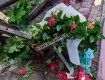 Во Львове во время неистового урагана в парке погибла молодая пара влюбленных