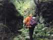 Исчезнувший 10 сентября в лесах Закарпатья грибник найден живим 