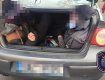 В Венгрии копам не понравился "сюрприз" в багажнике у украинца
