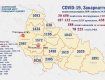 В Закарпатье 188 новых случаев COVID-19, в одном районе - 84: Данные на 24 января 