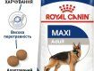 Самым известным и любимым в Украине кормом для взрослых крупных собак является Роял Канин Maxi Adult