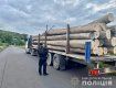 В Закарпатье выловили грузовик с нелегальным лесом - конфисковали вместе с грузом