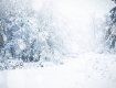 Невероятно, но факт: На вершине горы в Закарпатье бушует неистовая зима 