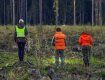 В Закарпатье пол ночи рыскали лес в поисках местного жителя 