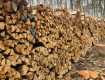 Из Украины запретили вывозить дрова