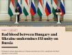 Ошибка Украины в отношении этнических венгров подрывает единство ЕС