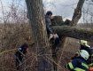 В больнице закончилась обрезка дерева для бедолаги из Закарпатья