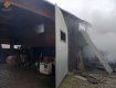 Домашний скот едва не сгорел при пожаре в Закарпатье 
