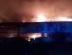 Появились фото с места дикого пожара в Мукачево, где сгорел цех известной на весь мир фирмы 