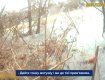 Дикая ситуация в Мукачево: Мужчина с собакой провалился под лёд 