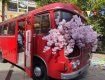 На набережной Независимости в ярко-красном ретро-автобусе, украшенном декоративными сакурами, организовали туристический информационный центр
