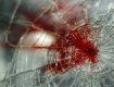 Сущий кошмар в Закарпатье: В результате ДТП человек вылетел через лобовое стекло, труп пролетел 6 метров