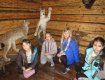 Луганські діти здійснили автобусну екскурсію "родзинками" Закарпаття
