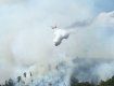 Уже сутки продолжается ликвидация лесного пожара в Закарпатье 